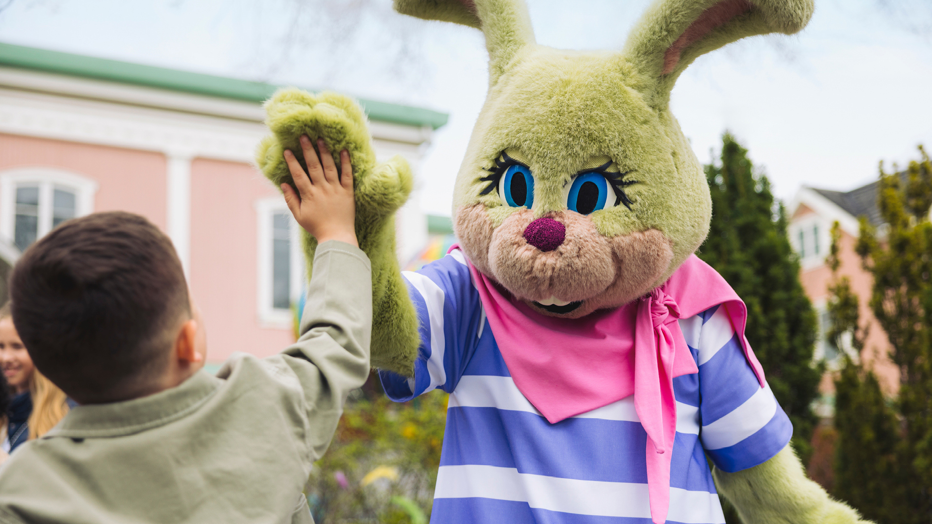 Vårbus i Kaninlandet