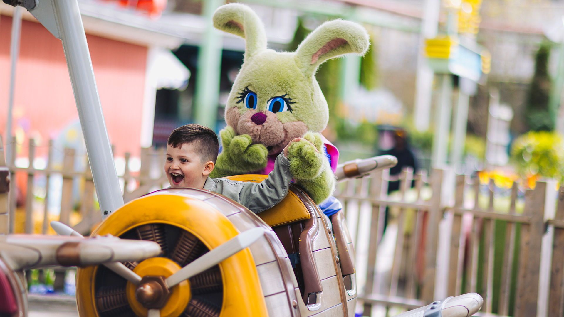 Vårbus i Kaninlandet