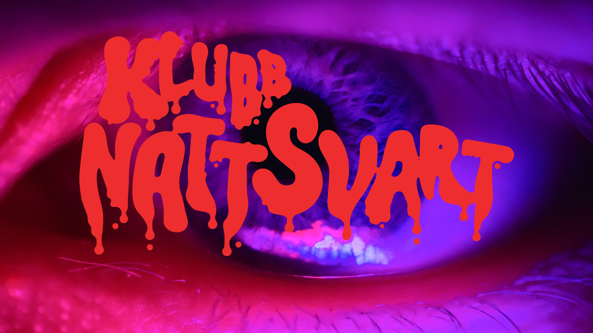 Klub Nattsvart – a Halloween party for the brave