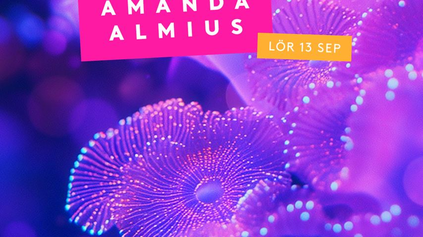 Klubb Karusell - Amanda Almius