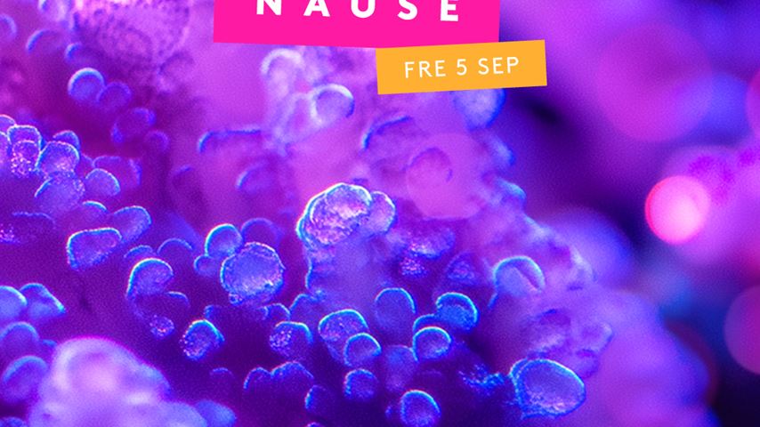 Klubb Karusell - Nause