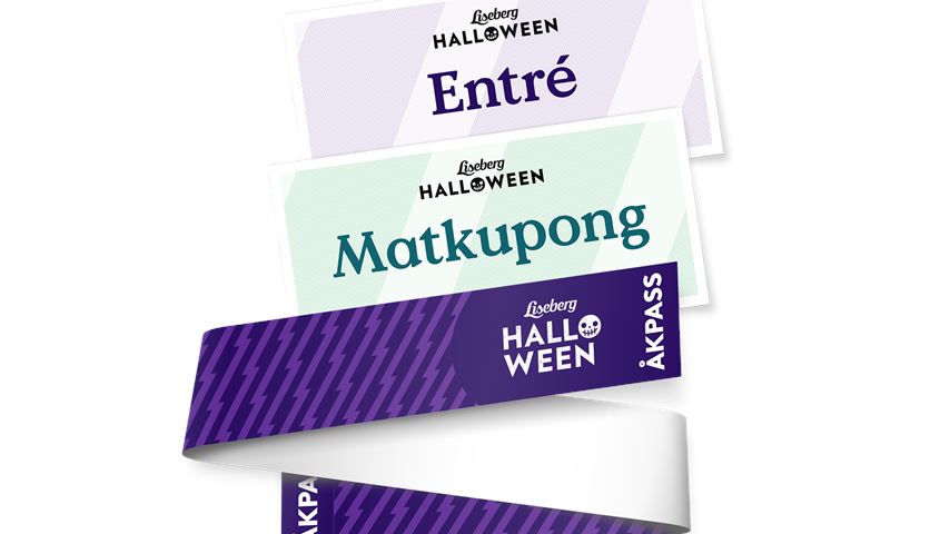 Entré + Åkpass + Mat (gruppbiljett)