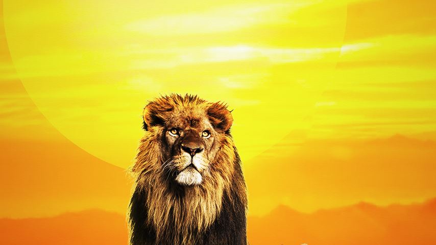 Musiken från Lejonkungen - livekonsert